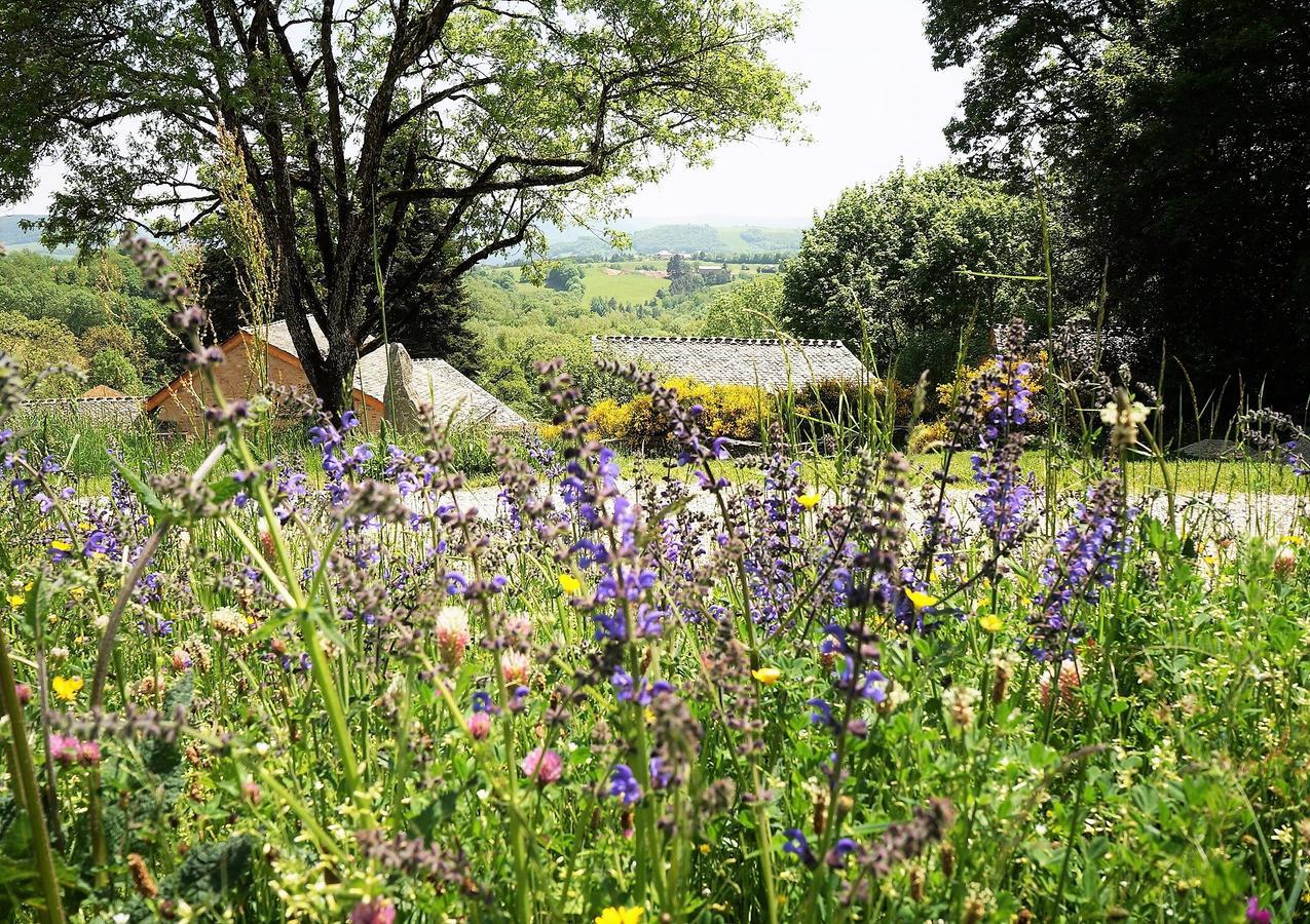 Domaine Des Marequiers Chambre Pimprenelle Saint-Germain-du-Teil Exterior foto