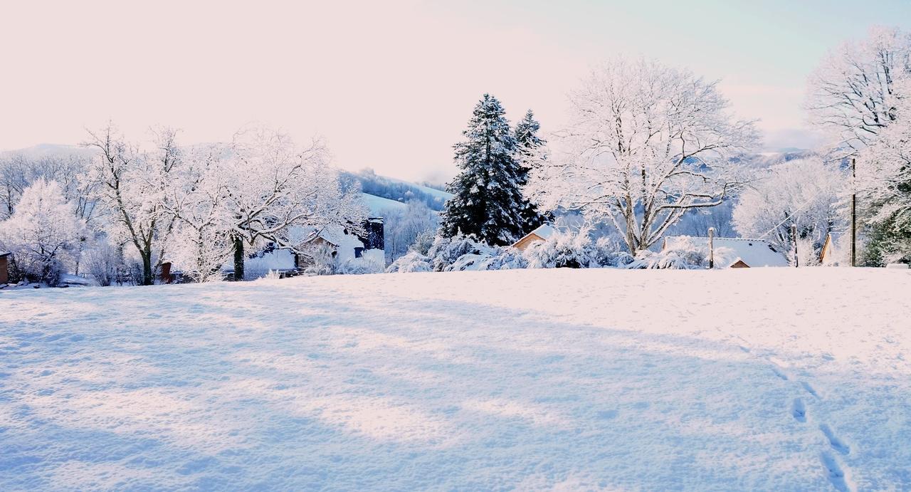 Domaine Des Marequiers Chambre Pimprenelle Saint-Germain-du-Teil Exterior foto